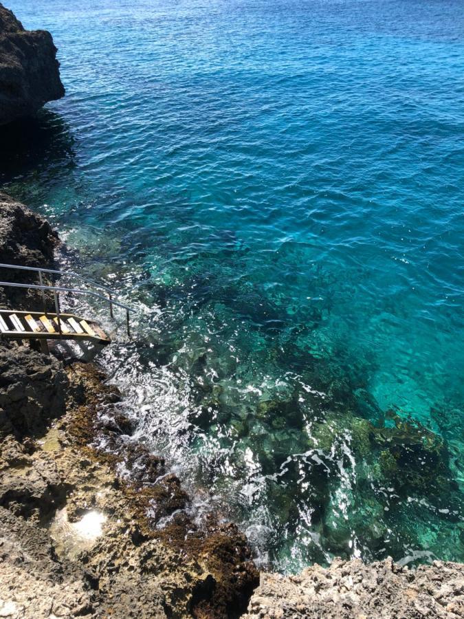 Marazul Dive Resort. 3 Bedroom Seafront House. Dive, Snorkel, Enjoy Amazing Sunsets Westpunt Zewnętrze zdjęcie