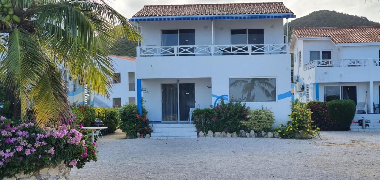 Marazul Dive Resort. 3 Bedroom Seafront House. Dive, Snorkel, Enjoy Amazing Sunsets Westpunt Zewnętrze zdjęcie